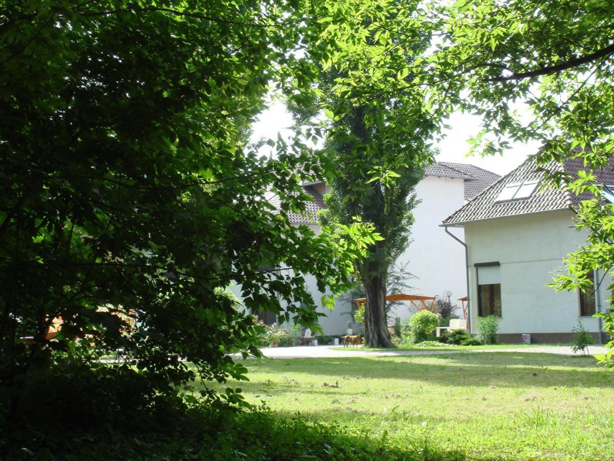 Roza Hotel Es Apartmanhaz Esztergom Buitenkant foto